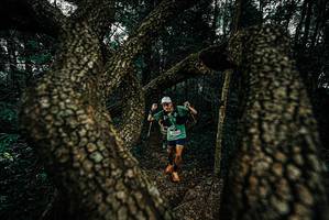 BIB: 
                            <button type="button" onclick="openModal(25692716)" class="btn btn-primary btn-sm float-right btn-popup" data-toggle="modal" data-target=".modal-high-quality">
                        <i class="fas fa-shopping-cart"></i> Add to Cart
                    </button>
                                            <button type="button" onclick="isThisMe(25692716, true)" class="btn btn-success btn-sm float-right btn-popup btn-isme hidden" data-toggle="tooltip" data-placement="bottom" title="นี่คือรูปของคุณใช่ไหม คลิกที่นี่เพื่อเอาเข้าอัลบั้ม">
                        <i class="fas fa-plus"></i> Add to album
                    </button>
                    <button type="button" onclick="isThisMe(25692716, false)" class="btn btn-warning btn-sm float-right btn-popup btn-isnotme hidden">
                        <i class="fas fa-ban"></i> Remove from album
                    </button>